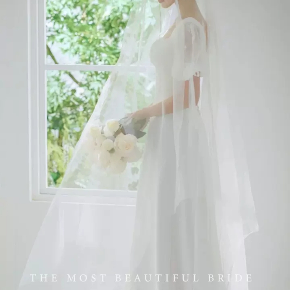 Elegant White Bridal Veil